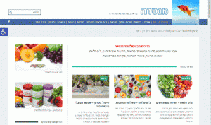 ניהול תוכן וקידום אתרים