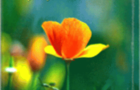 ספר: אדם רגיש מאוד