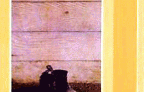 ספר: לכל אדם יש שביל