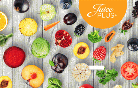 ג'וס פלאס – שאלות ותשובות