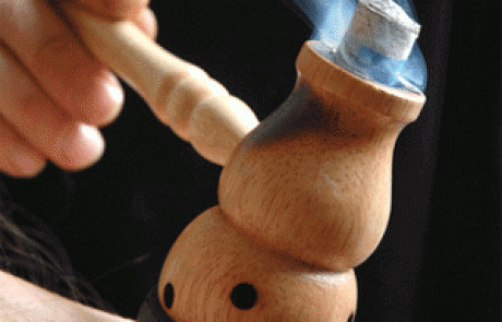 מוקסה להיפוך עוברים