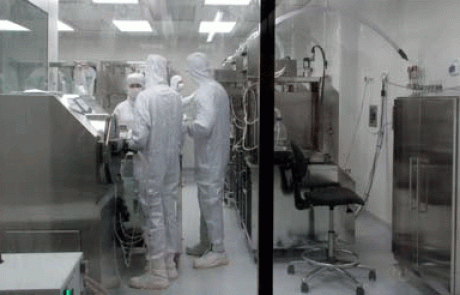 פלוריסטם – ייצור תאי גזע